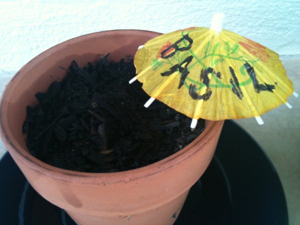 drink unbrella plant labels