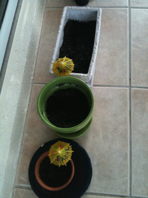 labeling potted seeds