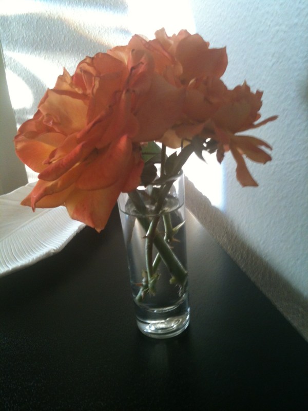 shot glass as vase