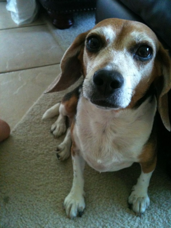 Rachels iphone pics 002