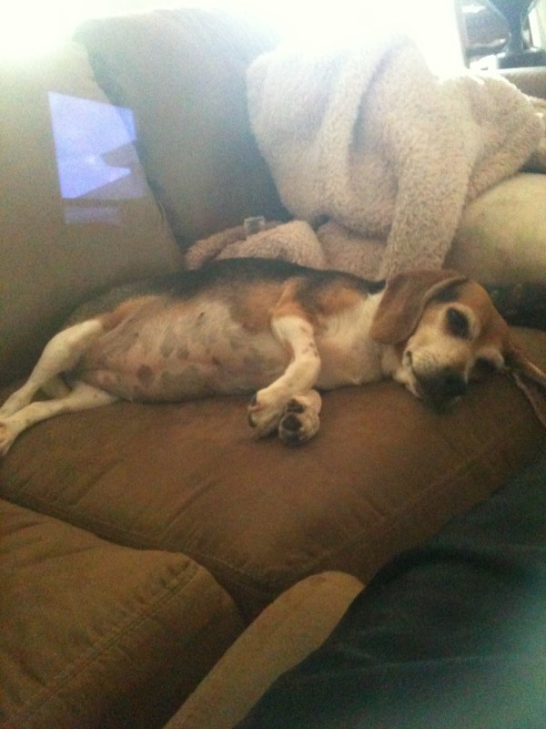 Rachels iphone pics 112